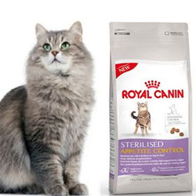 Echantillon Gratuit Croquettes Royal Canin Pour Chat Tom Co Echantillon Gratuit Croquettes Royal Canin Pour Chat Tom Co