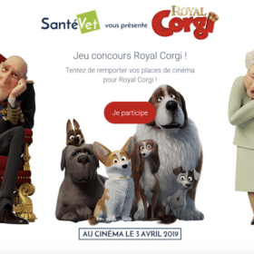 jeu-concours Royal Corgi