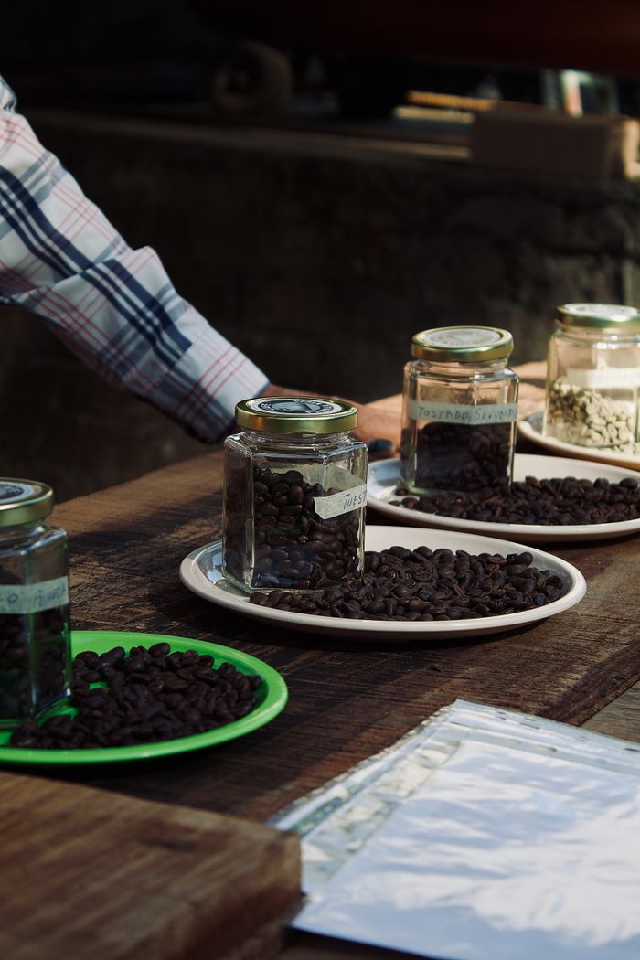 journey-02 Diverse coffee bean jars on plates in an outdoor rustic setup showcasing variety.